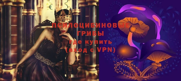 твердый Киреевск