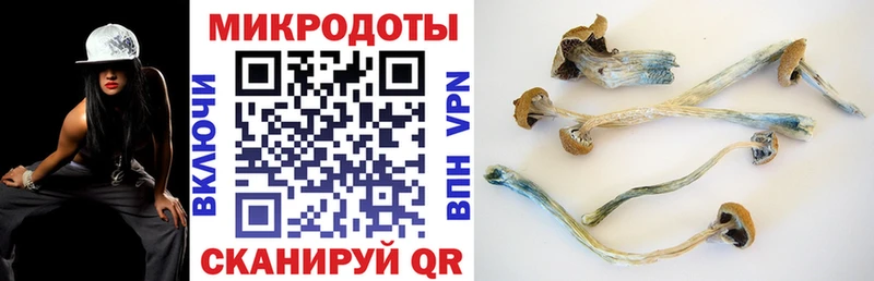 Купить закладки  Старая Купавна  Галлюциногенные грибы Psilocybe 